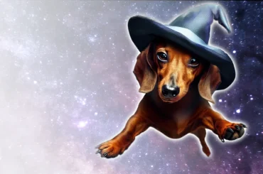 Conversionzauber Conversionzauber Hero Banner